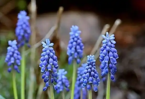 JVSpin казино 9b35eb